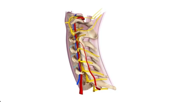 Cervical Nerve Root Block Treatment 