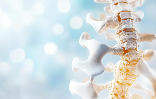 Osteoporosis Treatment in North Branch