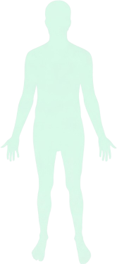 main-mark